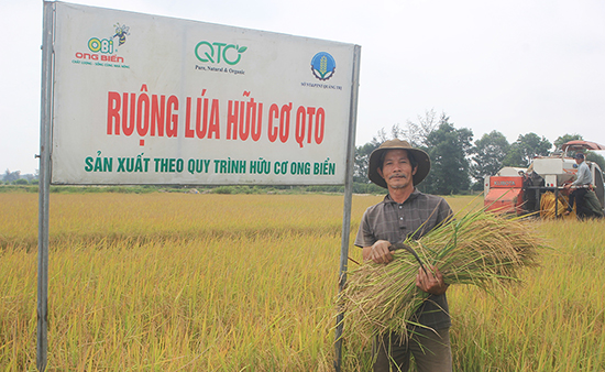 Nông nghiệp hữu cơ đang là một trong những lĩnh vực được Quảng Trị tập trung ưu tiên phát triển.